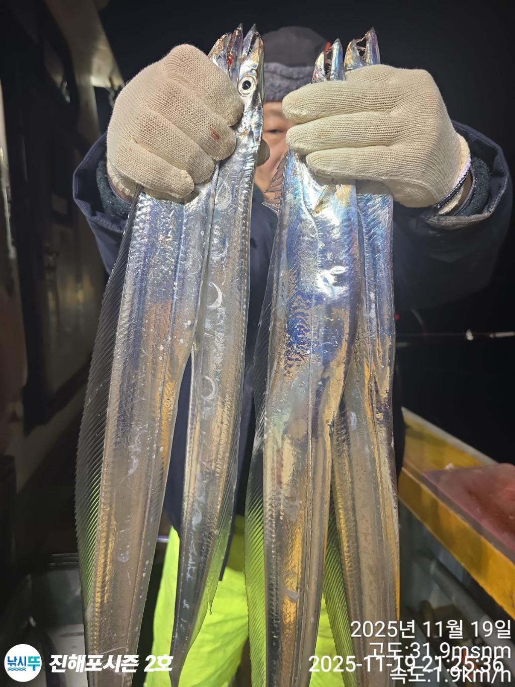 낚시뚜,갈치,진해행암항,진해포시즌 2호,낚시뚜6