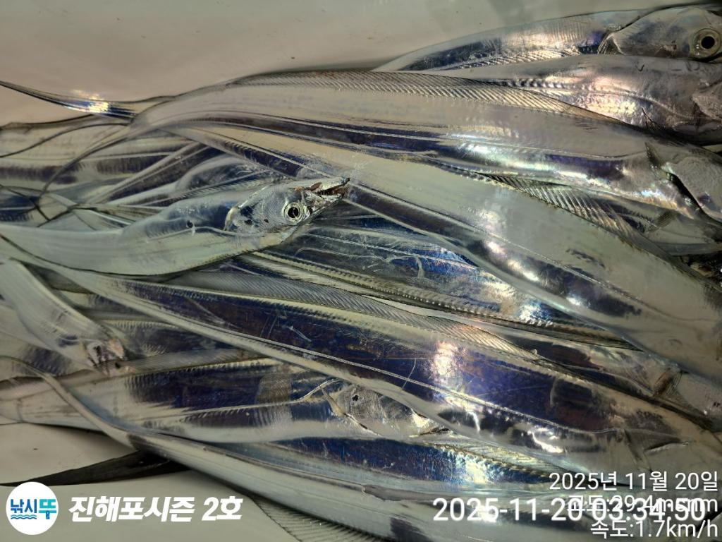 낚시뚜,갈치,진해행암항,진해포시즌 2호,낚시뚜2