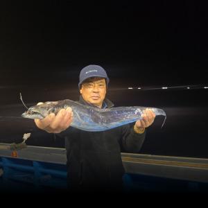 조황, 뉴무지개 왕갈치 씨알좋습니다 내일부터 자리여유