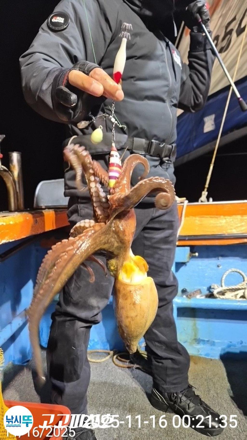 낚시뚜,,속천항(진해),고고피싱호,낚시뚜13