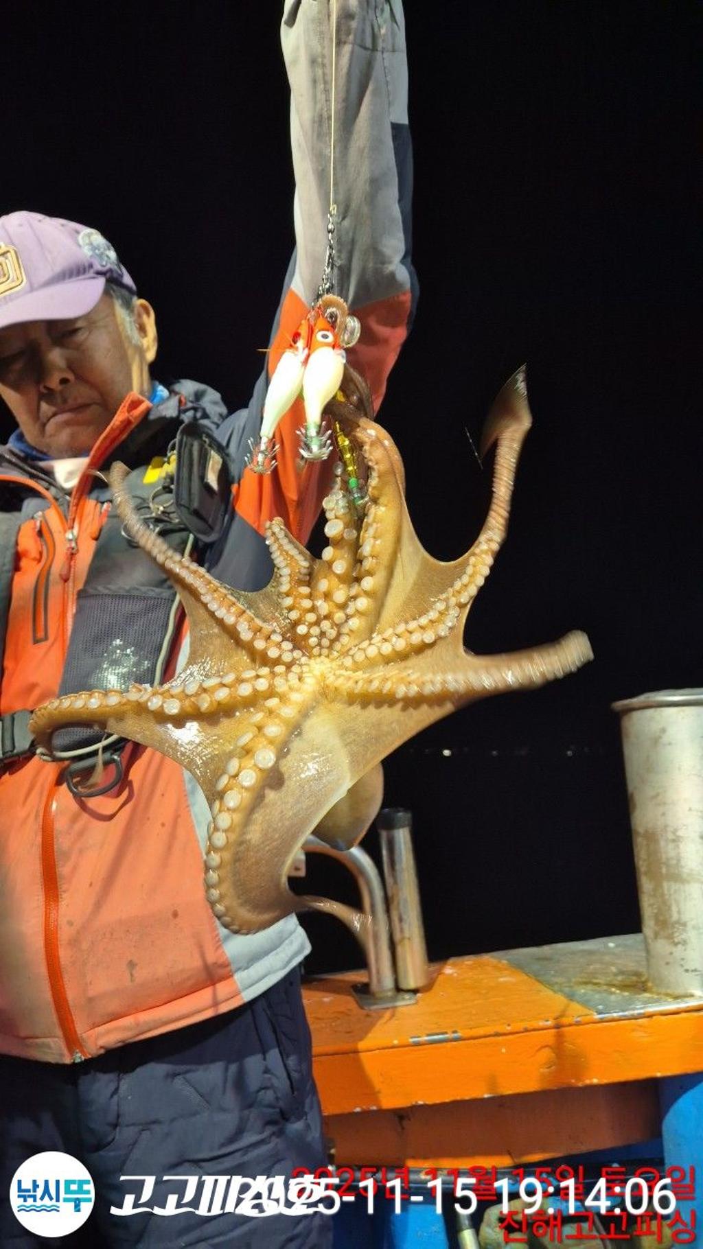 낚시뚜,,속천항(진해),고고피싱호,낚시뚜11