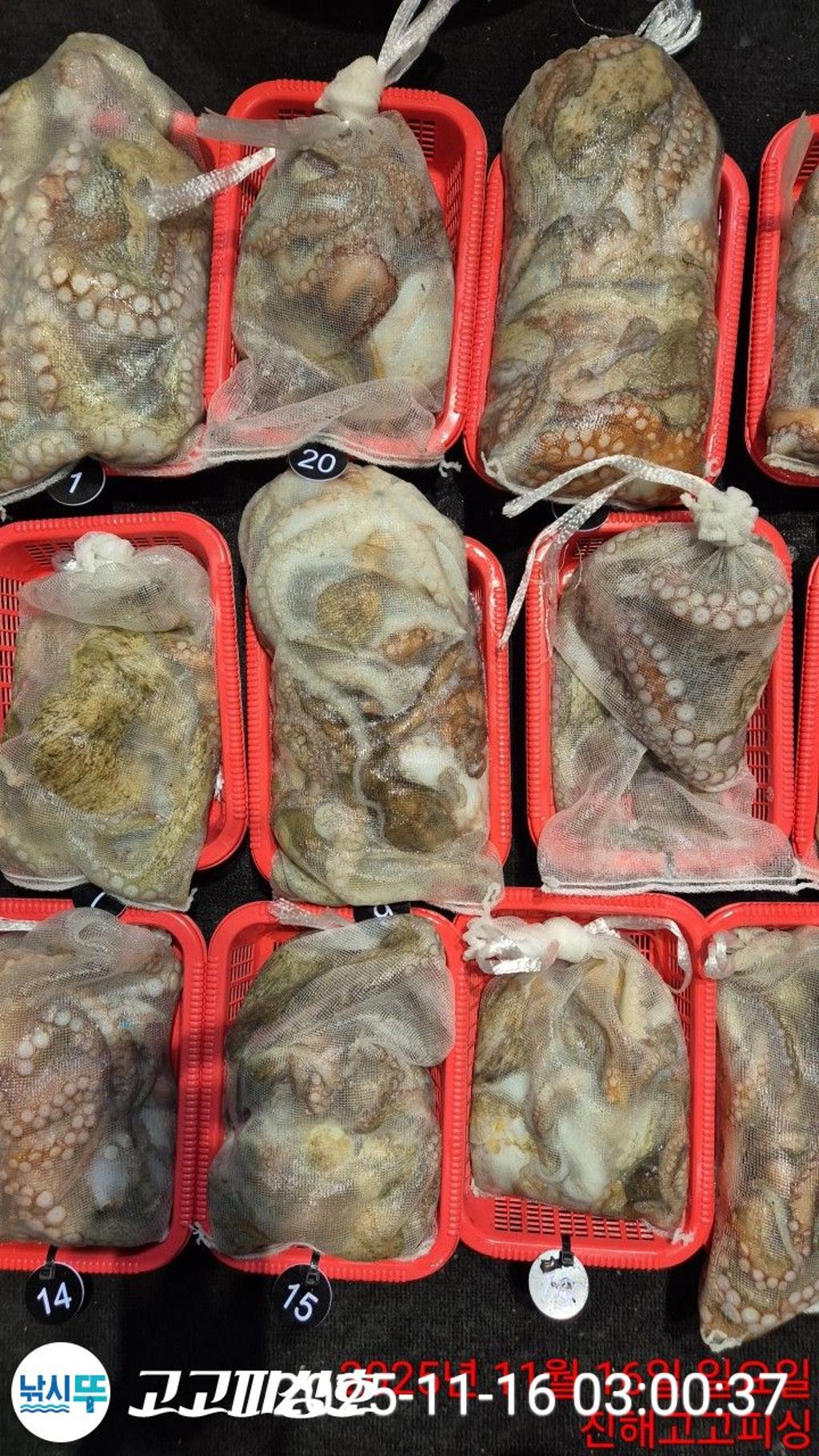 낚시뚜,,속천항(진해),고고피싱호,낚시뚜2