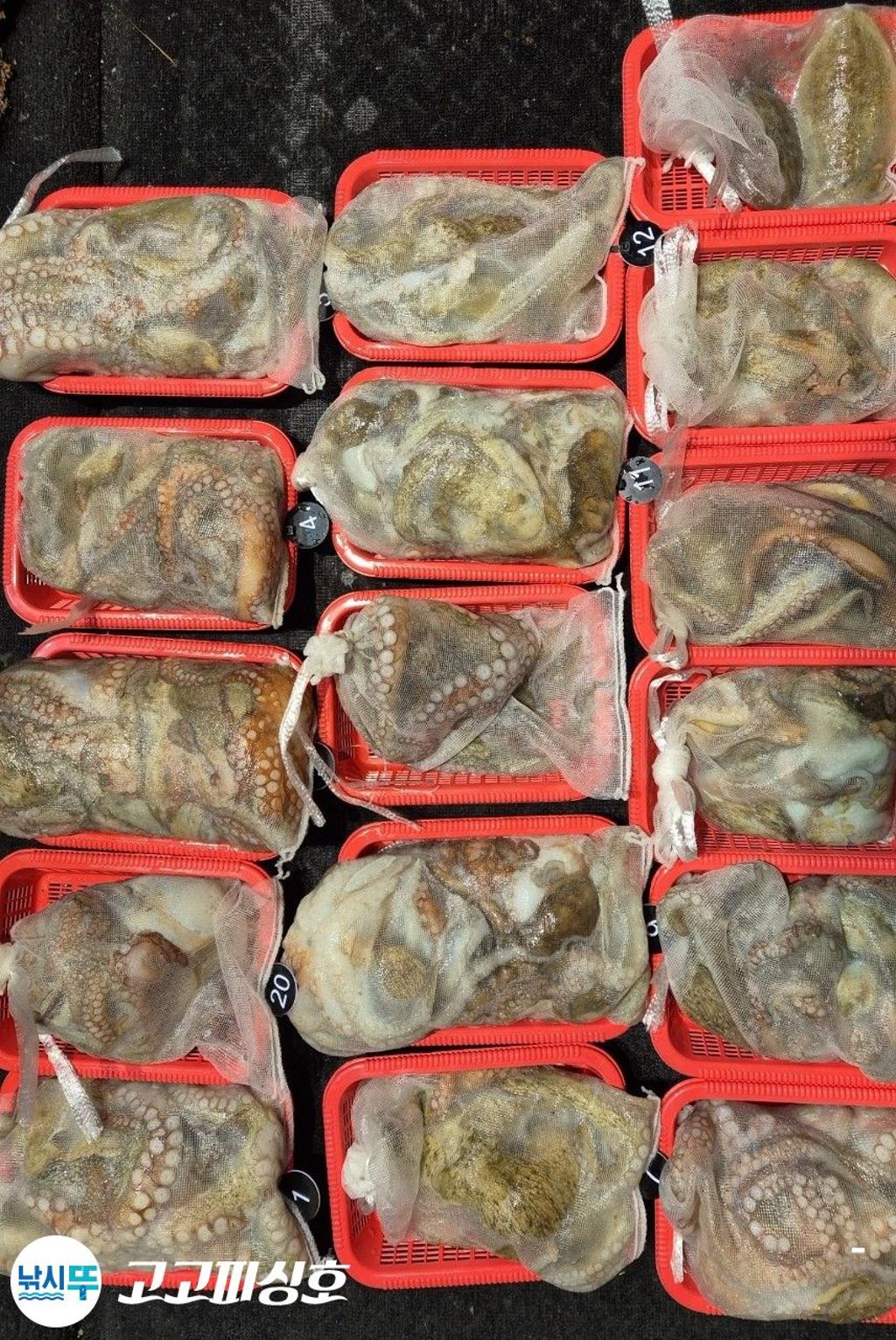 낚시뚜,,속천항(진해),고고피싱호,낚시뚜1