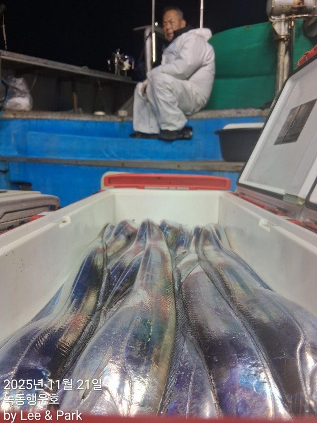 낚시뚜,갈치,녹동항,녹동대성호,낚시뚜23