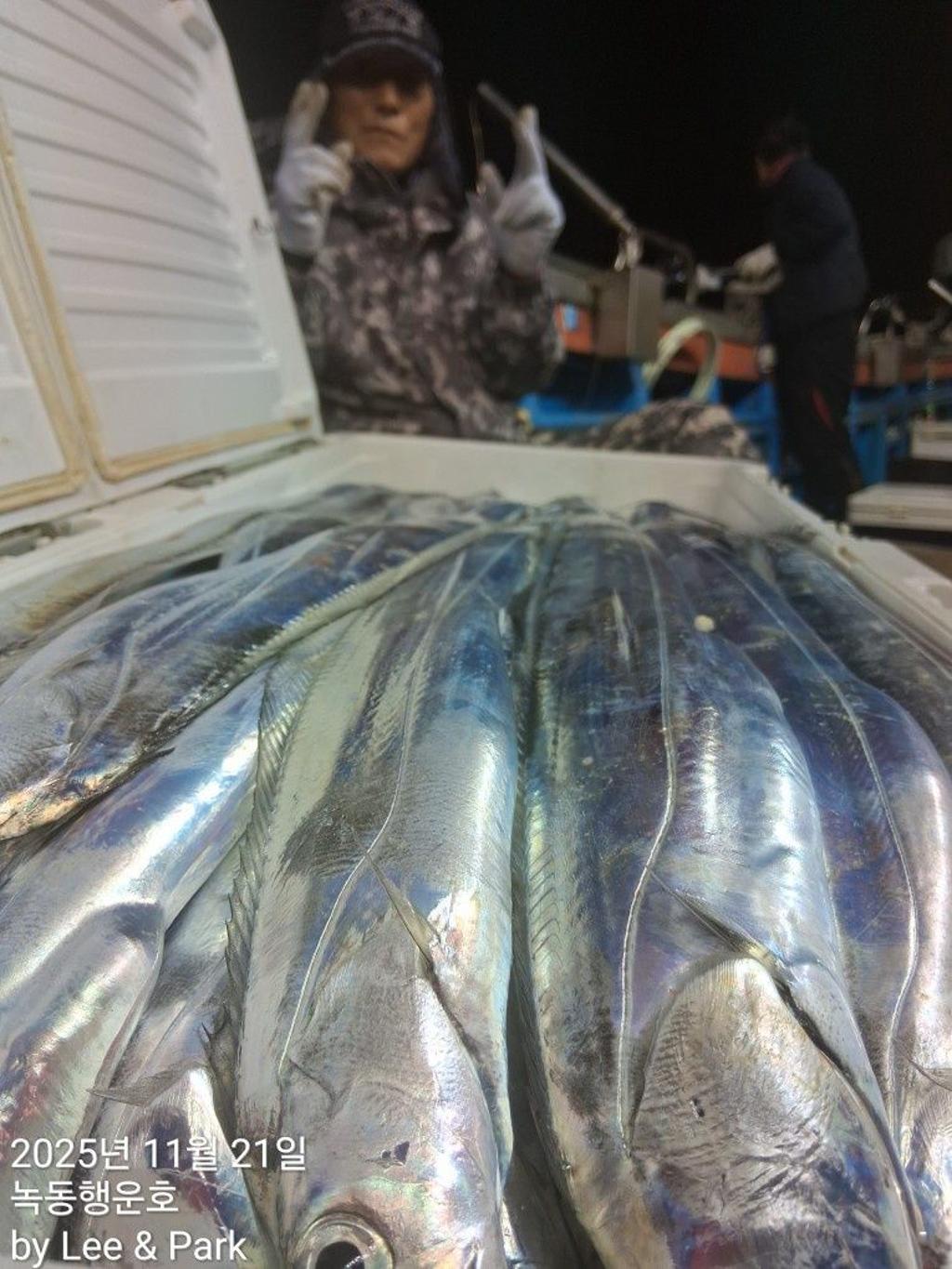 낚시뚜,갈치,녹동항,녹동대성호,낚시뚜17