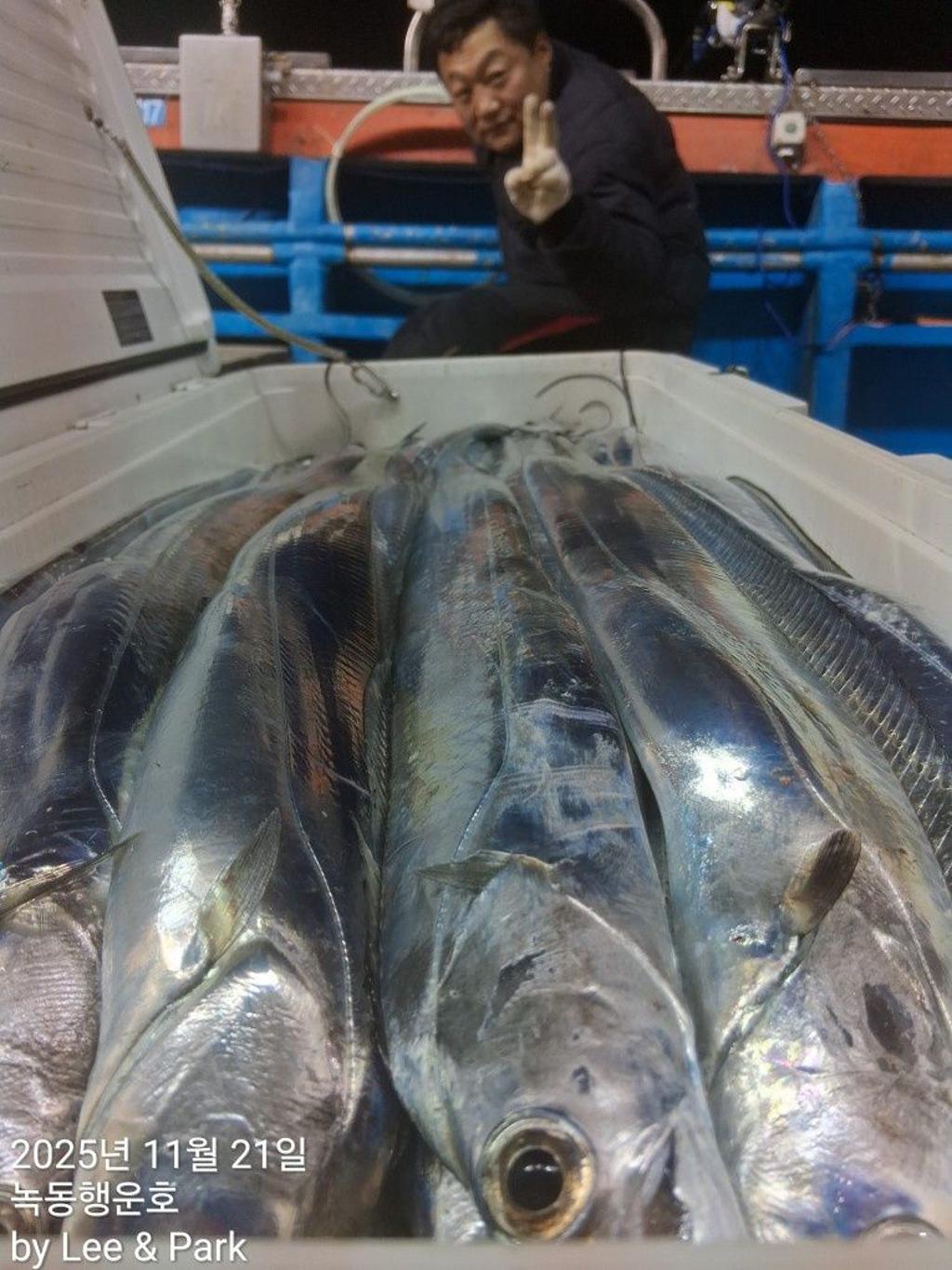 낚시뚜,갈치,녹동항,녹동대성호,낚시뚜15