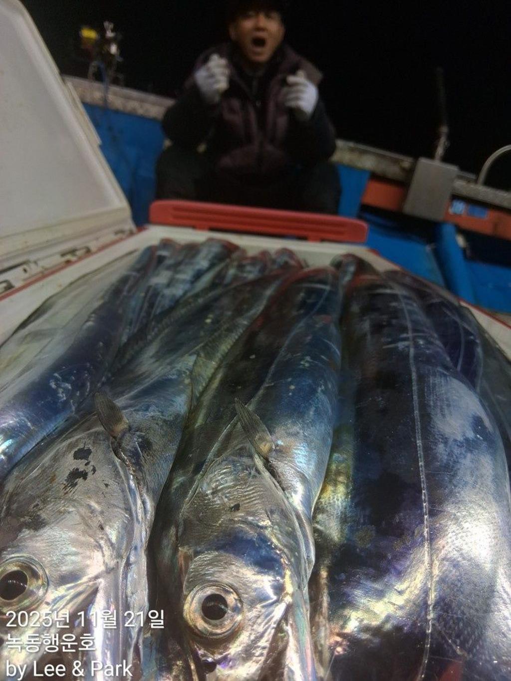 낚시뚜,갈치,녹동항,녹동대성호,낚시뚜14