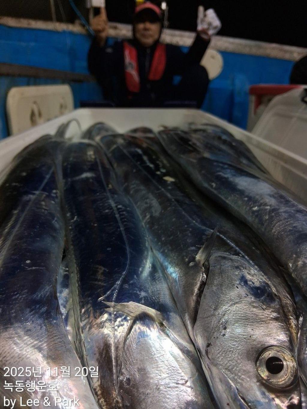 낚시뚜,갈치,녹동항,녹동대성호,낚시뚜13