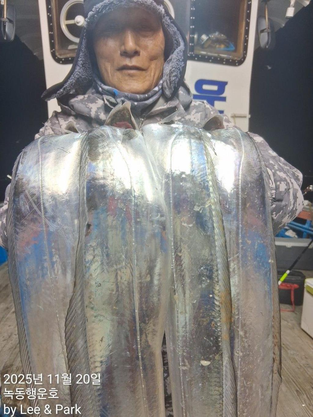 낚시뚜,갈치,녹동항,녹동대성호,낚시뚜8