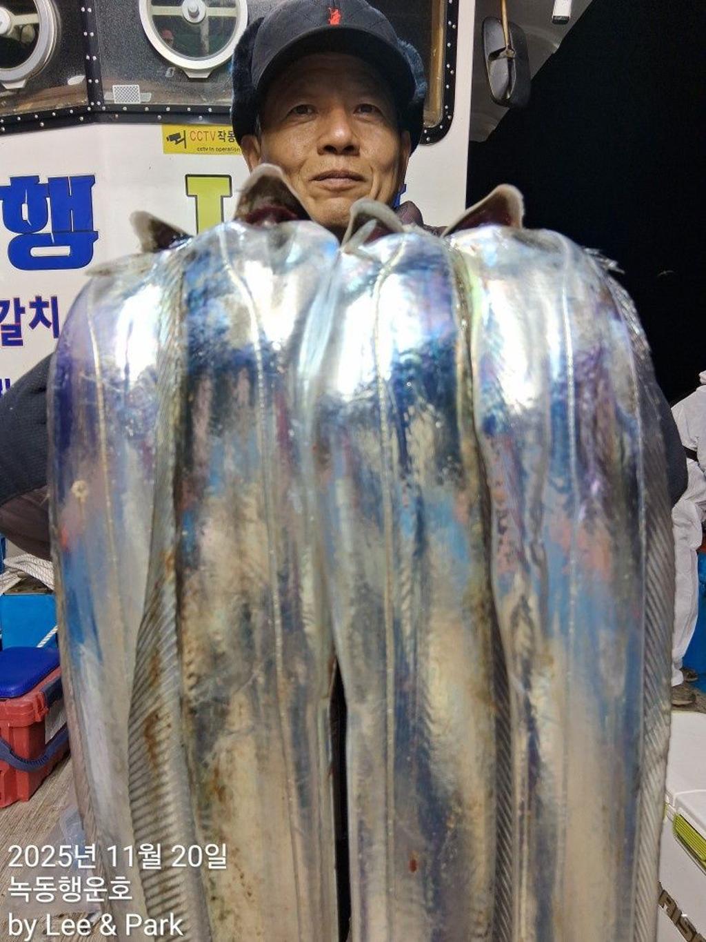 낚시뚜,갈치,녹동항,녹동대성호,낚시뚜7