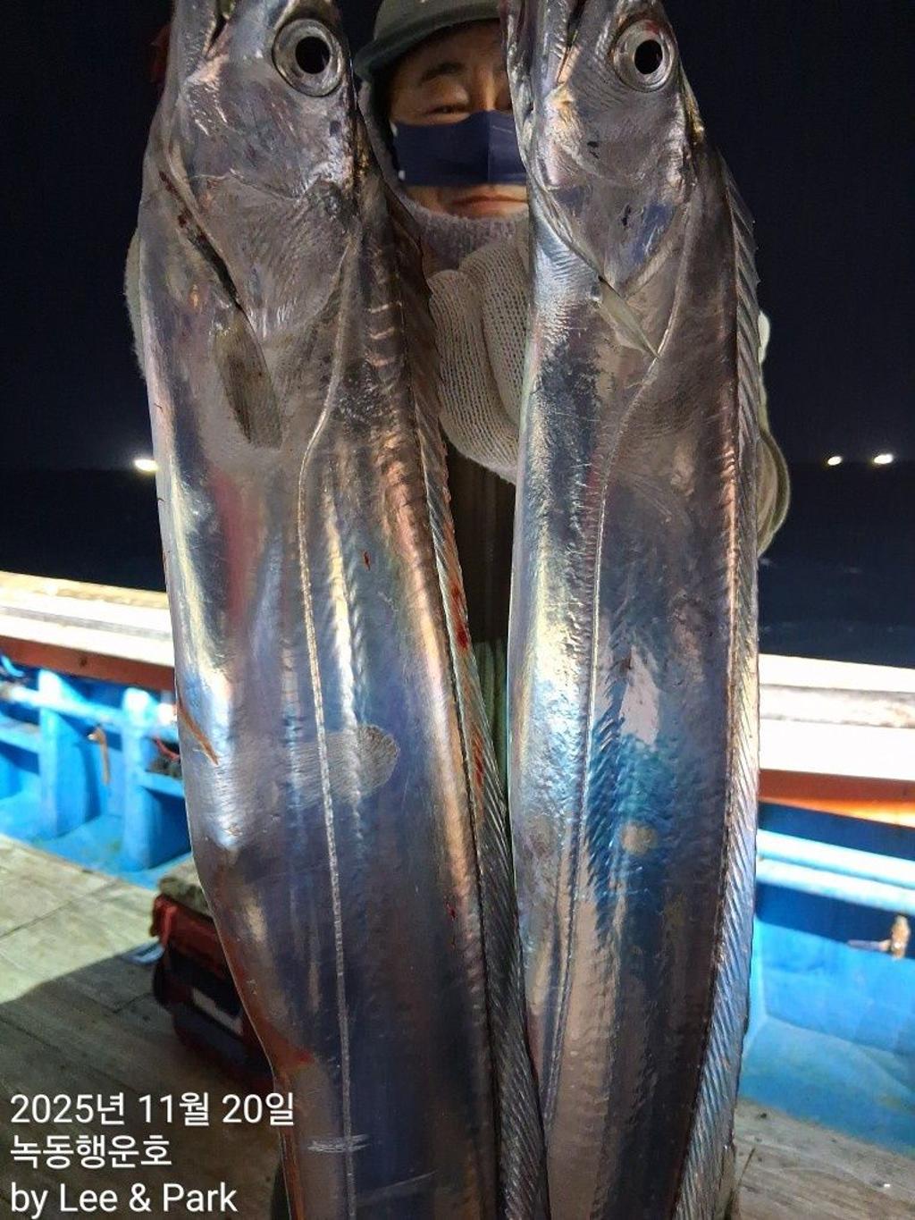 낚시뚜,갈치,녹동항,녹동대성호,낚시뚜2