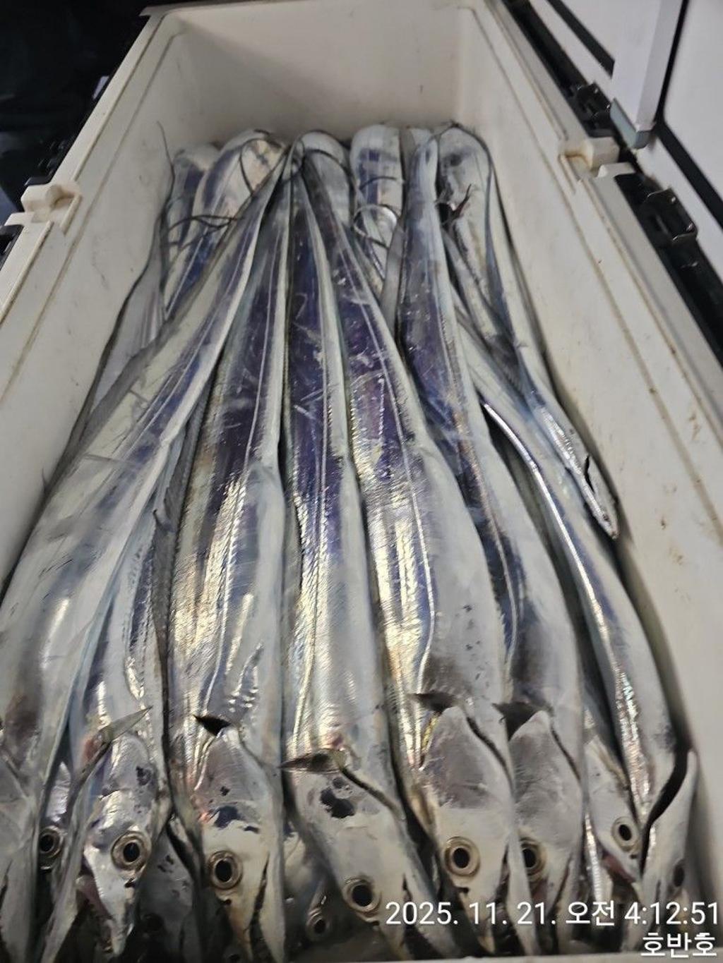 낚시뚜,갈치,통영 신전항,통영호반호,낚시뚜30