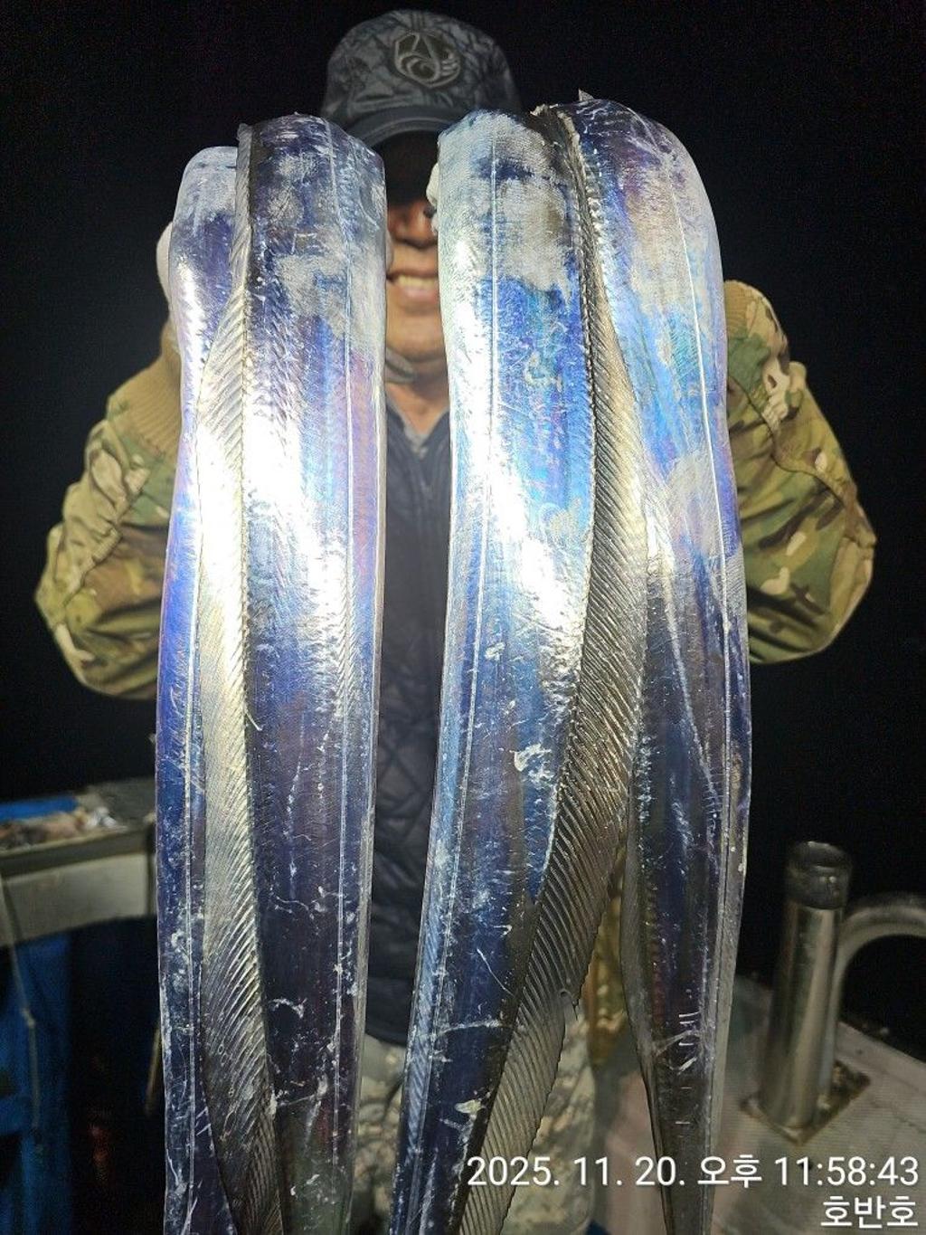 낚시뚜,갈치,통영 신전항,통영호반호,낚시뚜16