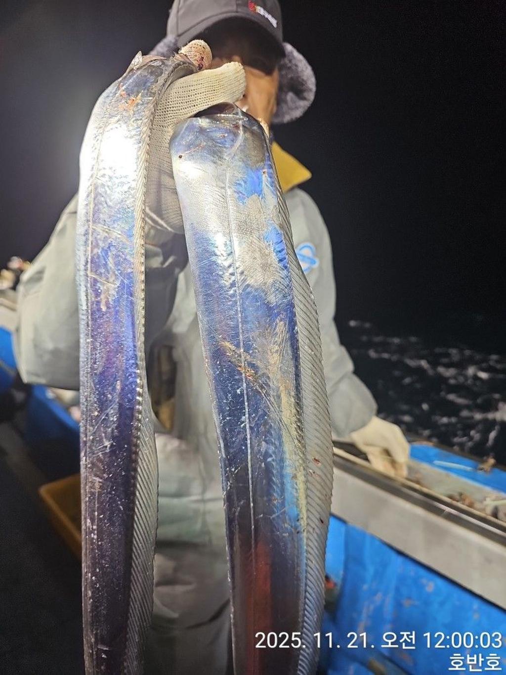 낚시뚜,갈치,통영 신전항,통영호반호,낚시뚜14