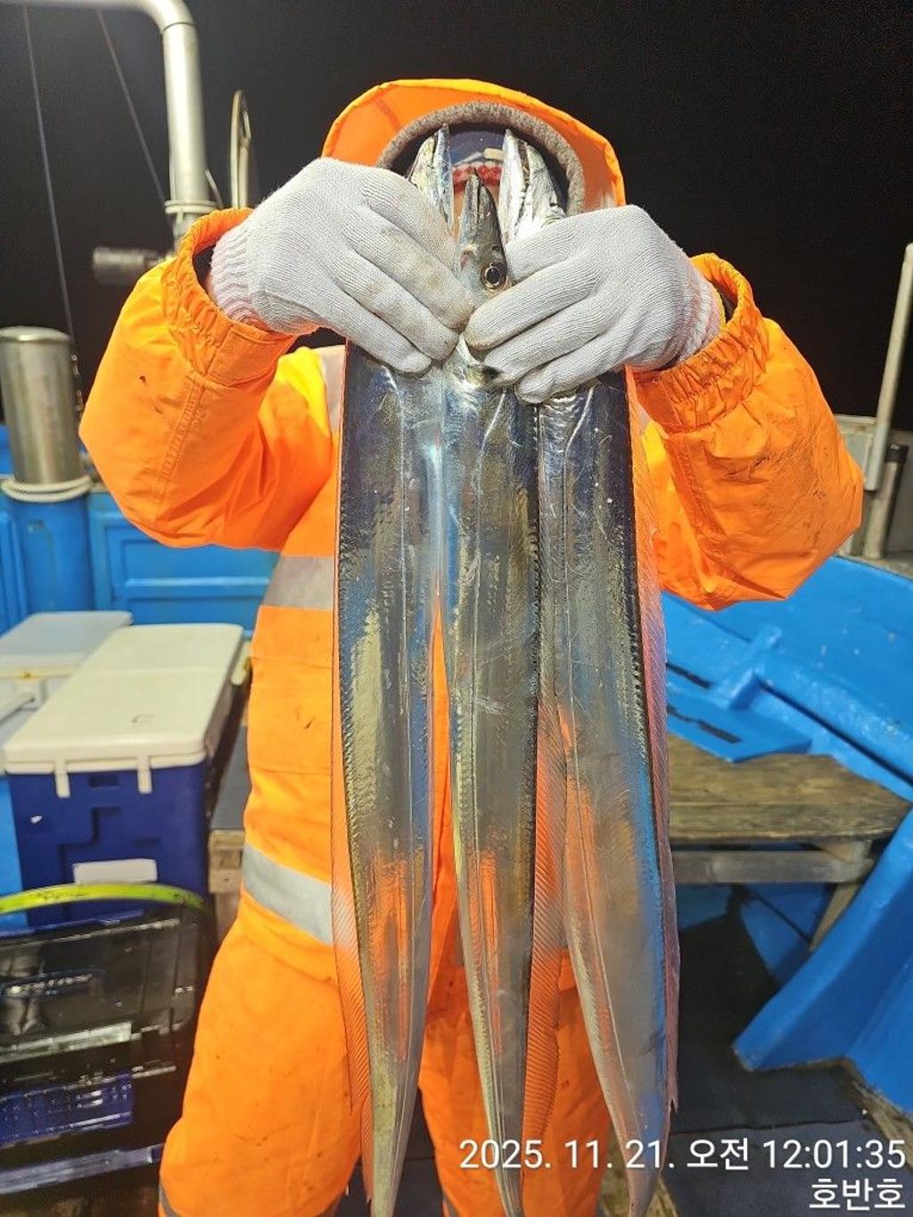 낚시뚜,갈치,통영 신전항,통영호반호,낚시뚜13