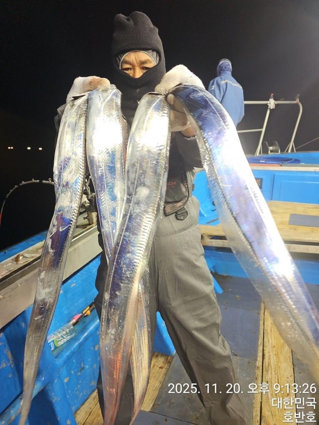 낚시뚜,갈치,통영 신전항,통영호반호,낚시뚜10