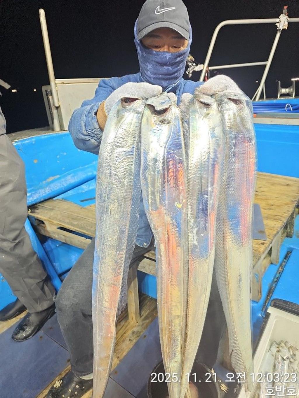 낚시뚜,갈치,통영 신전항,통영호반호,낚시뚜9