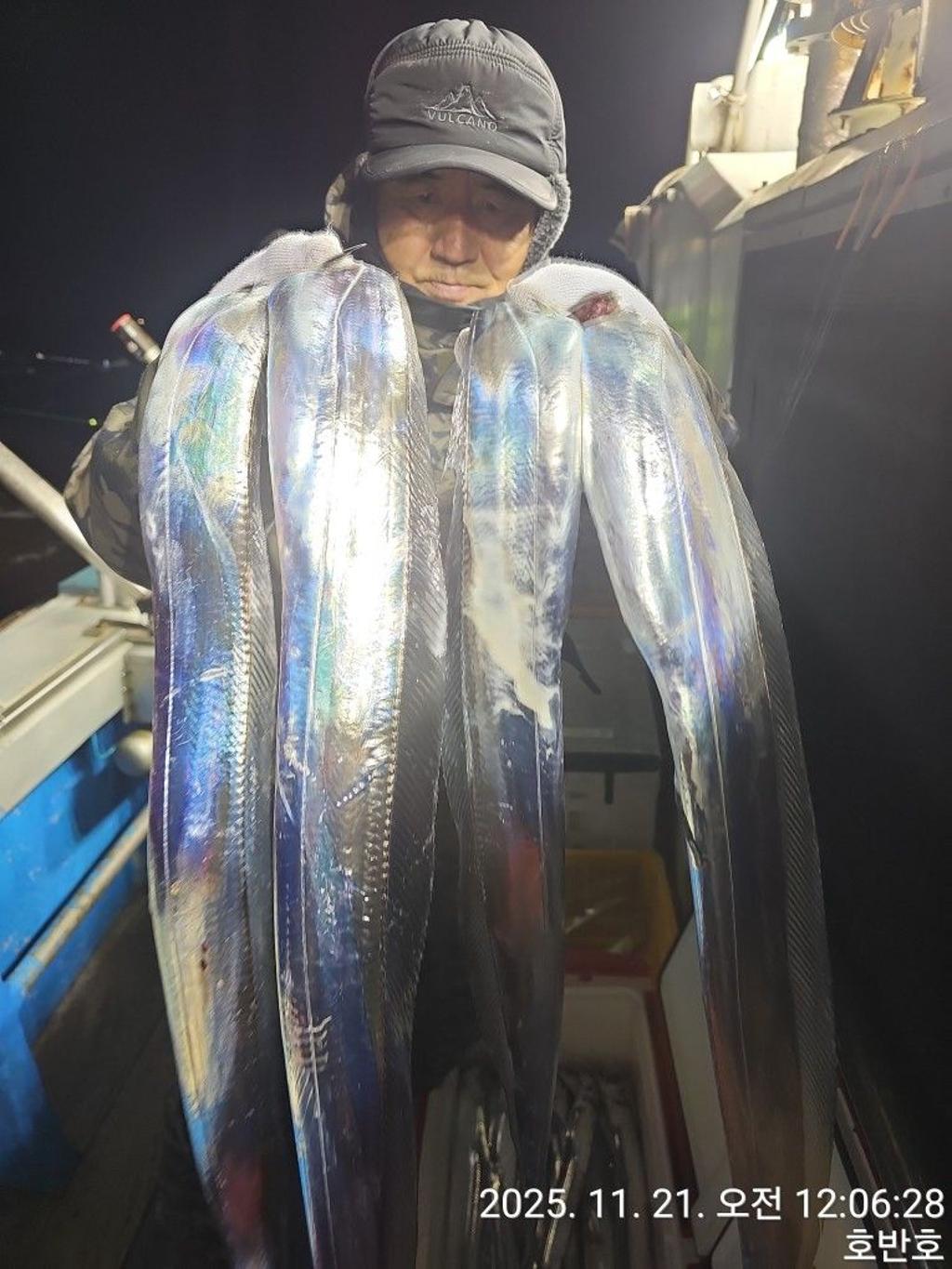 낚시뚜,갈치,통영 신전항,통영호반호,낚시뚜8