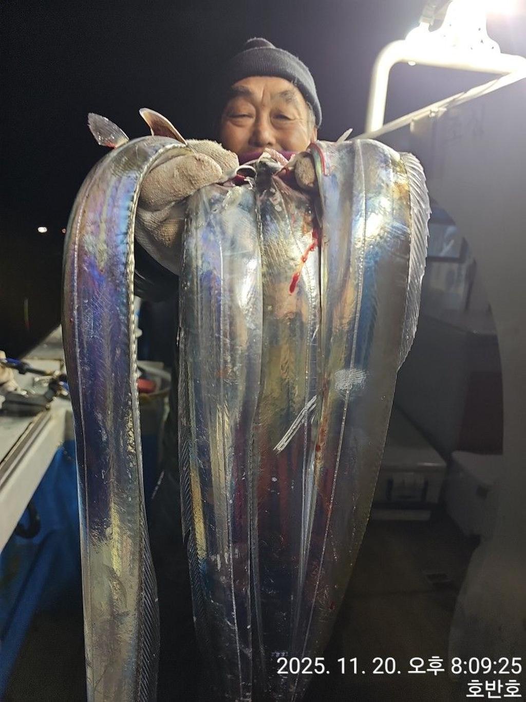 낚시뚜,갈치,통영 신전항,통영호반호,낚시뚜3