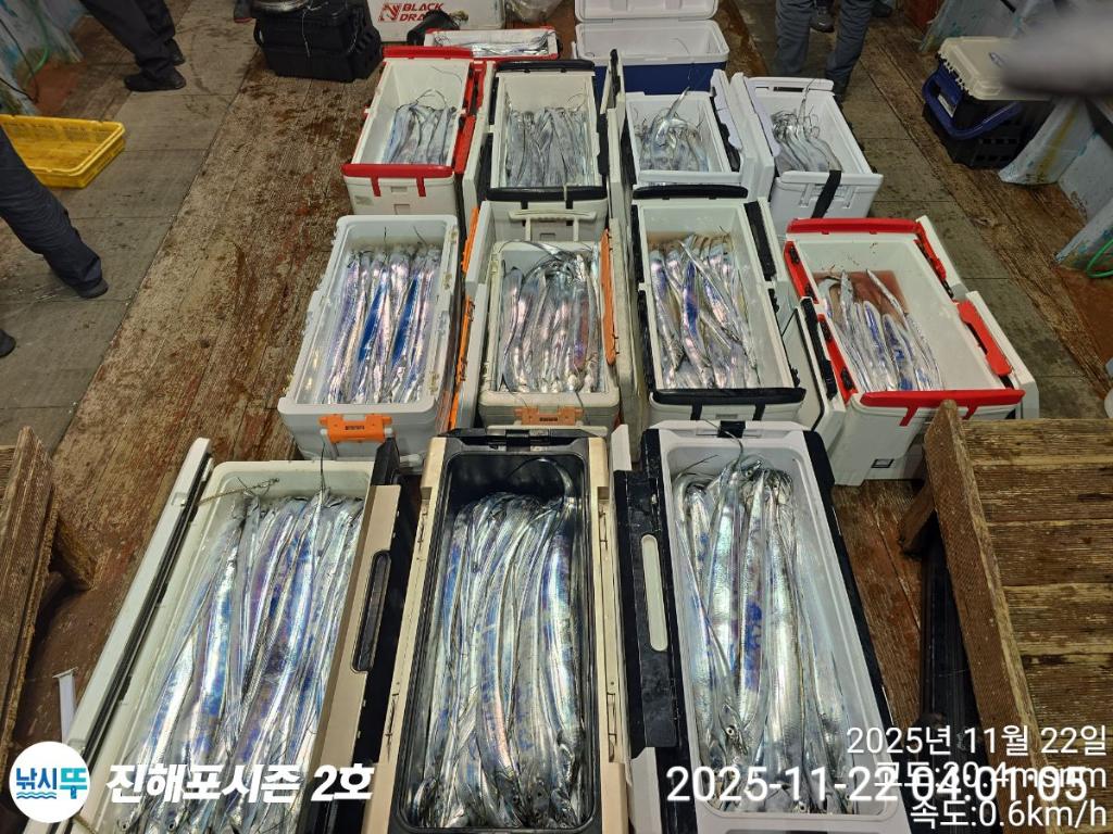 낚시뚜,갈치,진해행암항,진해포시즌 2호,낚시뚜25