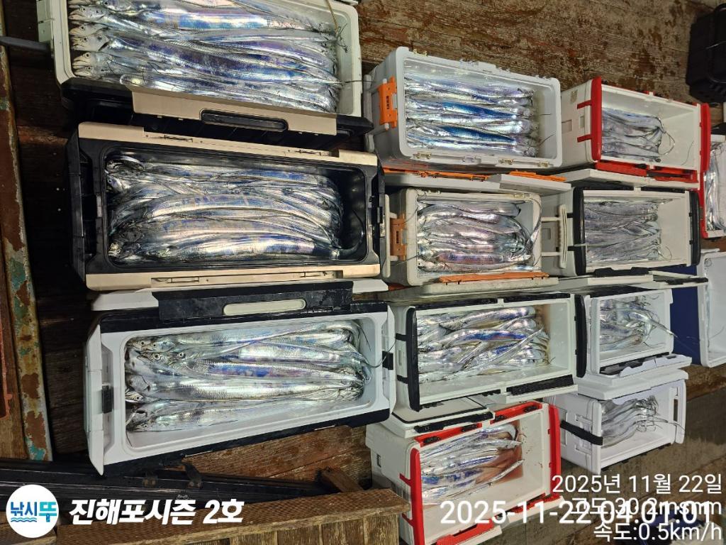 낚시뚜,갈치,진해행암항,진해포시즌 2호,낚시뚜24