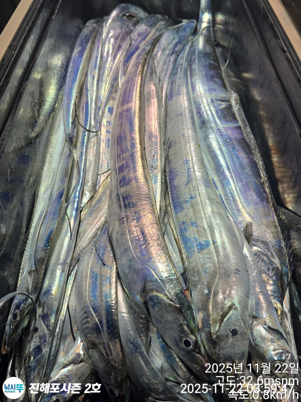 낚시뚜,갈치,진해행암항,진해포시즌 2호,낚시뚜22