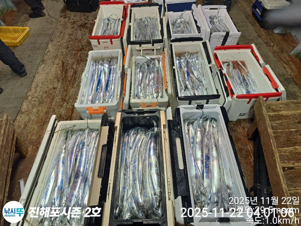 낚시뚜,갈치,진해행암항,진해포시즌 2호,낚시뚜20