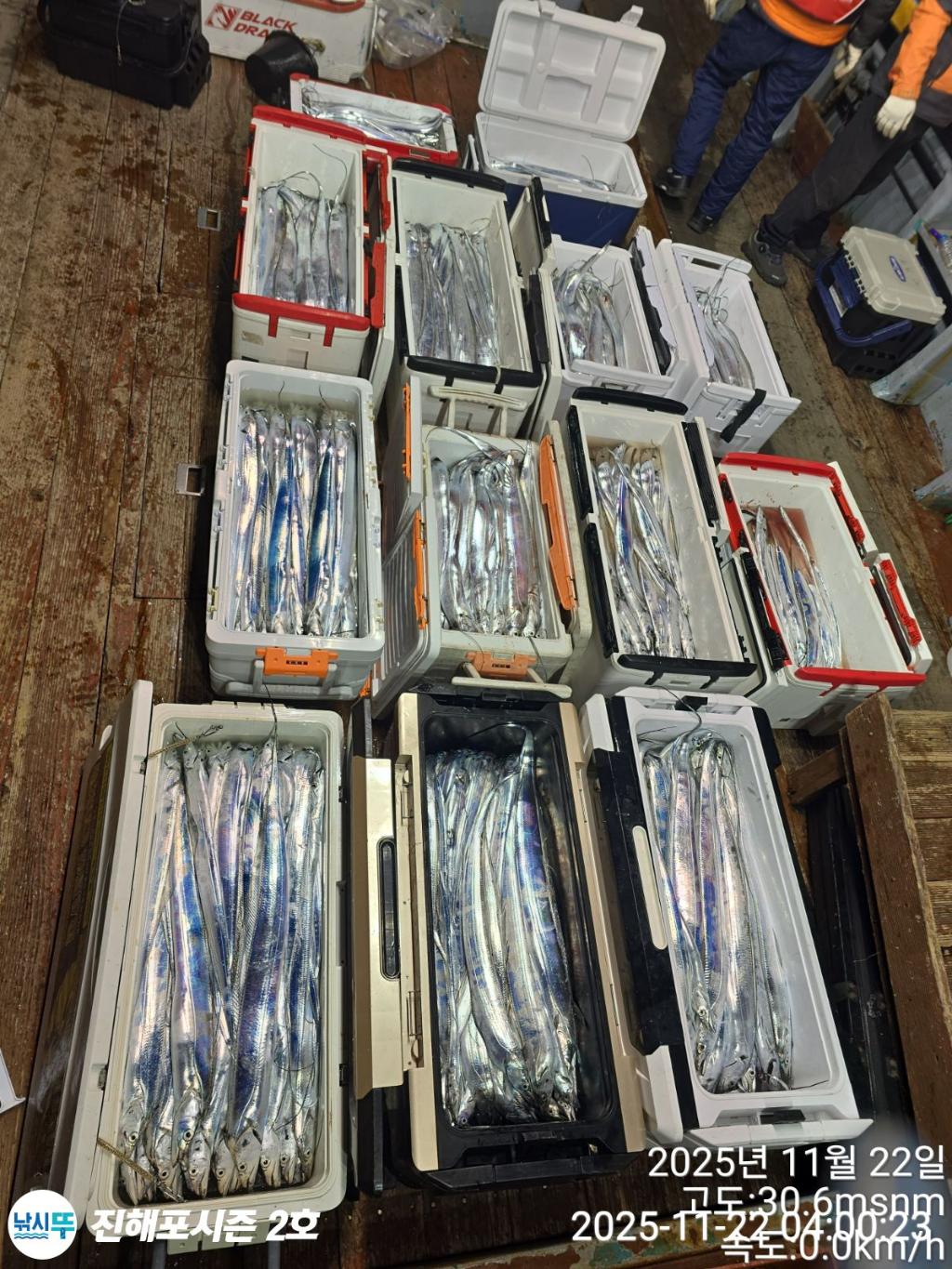 낚시뚜,갈치,진해행암항,진해포시즌 2호,낚시뚜18