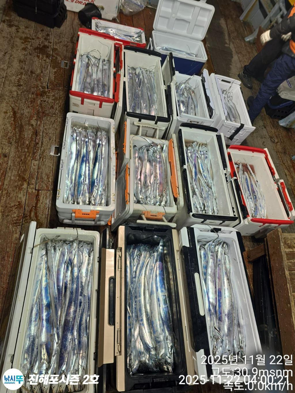 낚시뚜,갈치,진해행암항,진해포시즌 2호,낚시뚜0