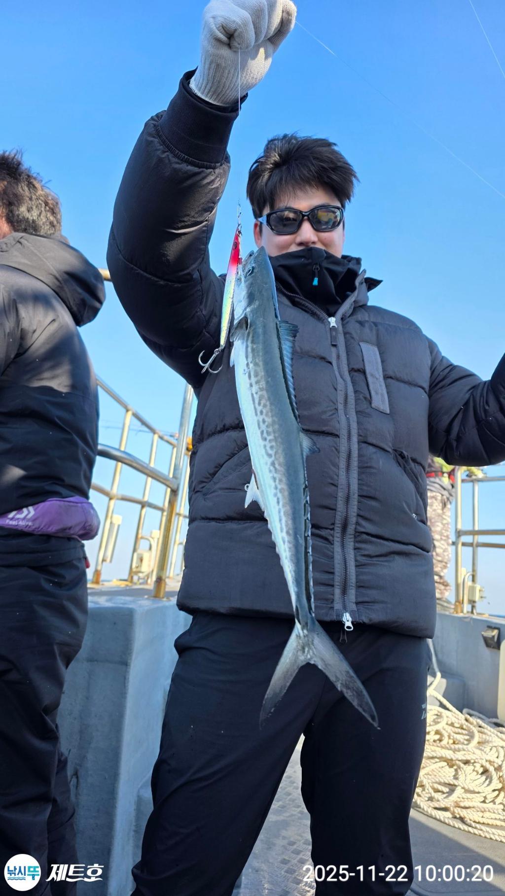 낚시뚜,방어,삼치,영일만항,포항 제트호,낚시뚜21