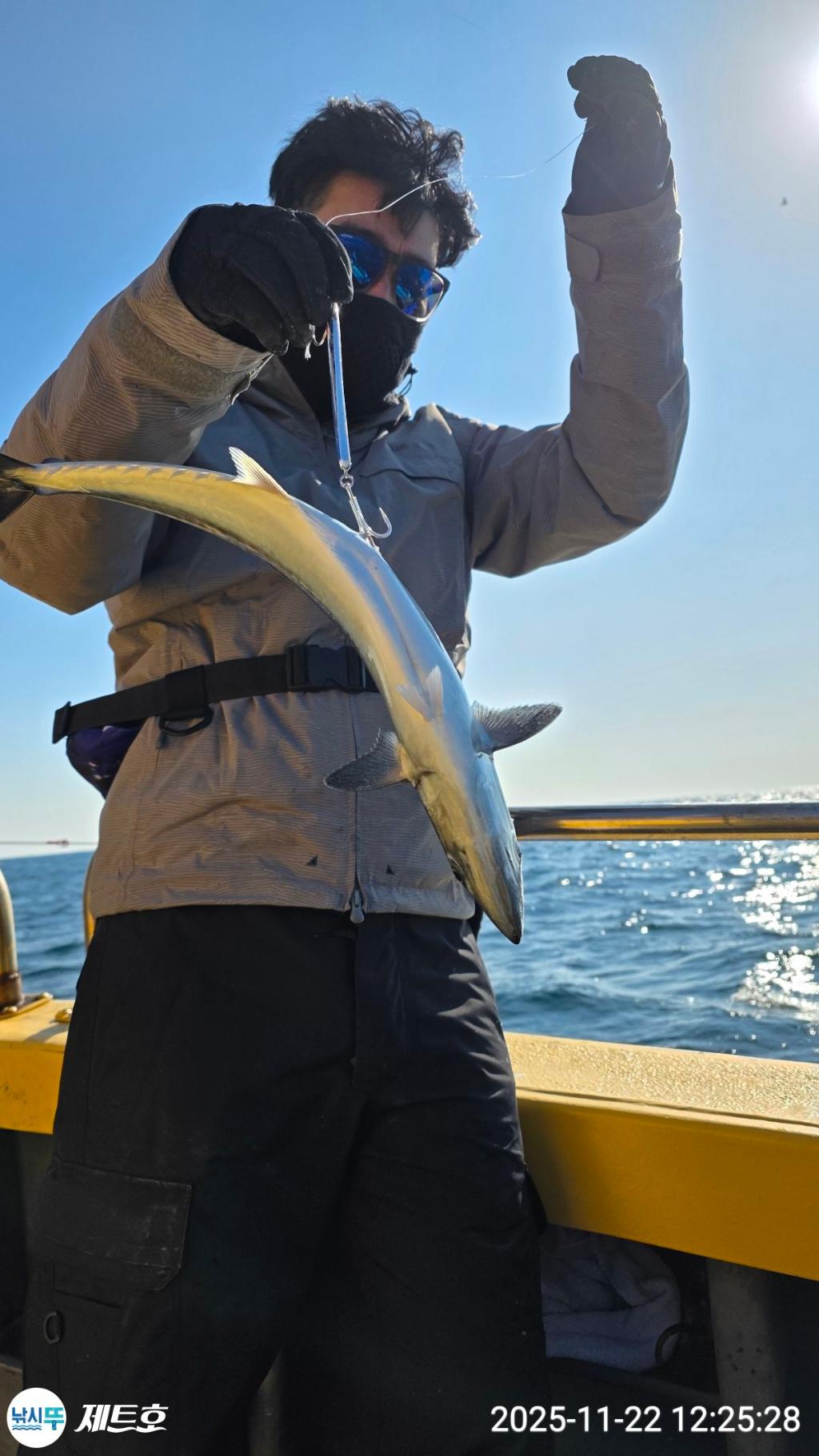 낚시뚜,방어,삼치,영일만항,포항 제트호,낚시뚜8