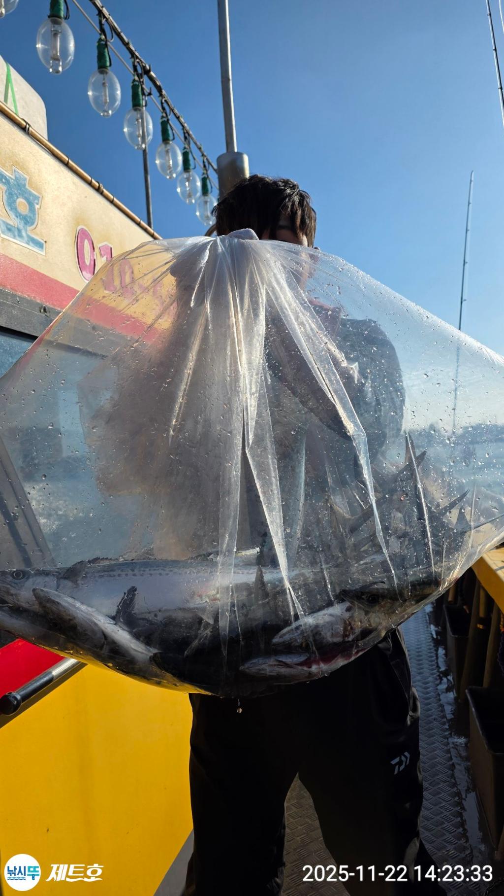 낚시뚜,방어,삼치,영일만항,포항 제트호,낚시뚜4