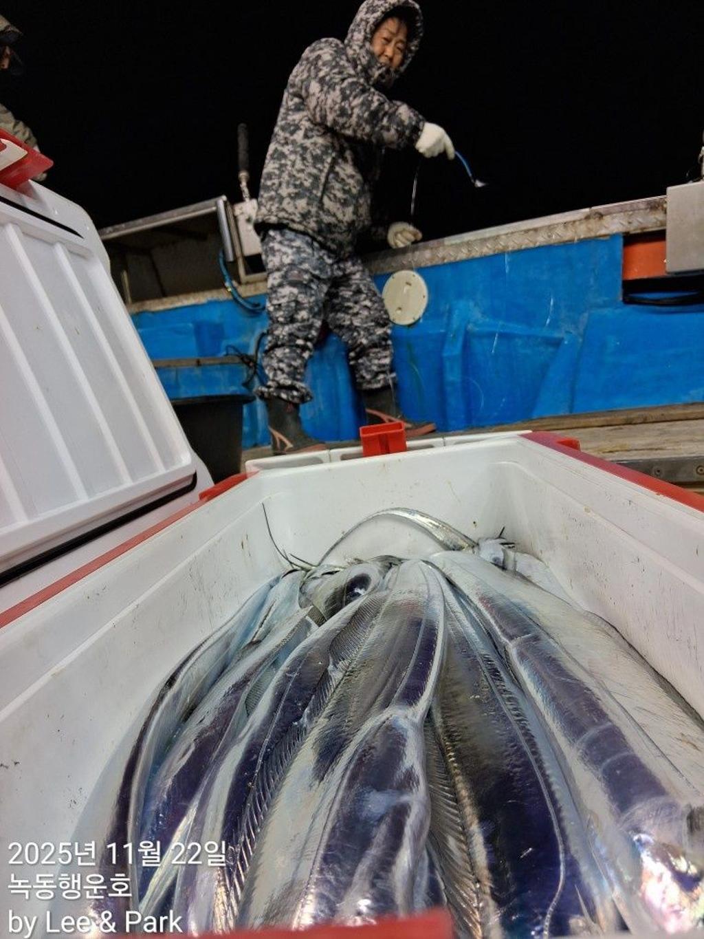 낚시뚜,갈치,녹동항,녹동대성호,낚시뚜33