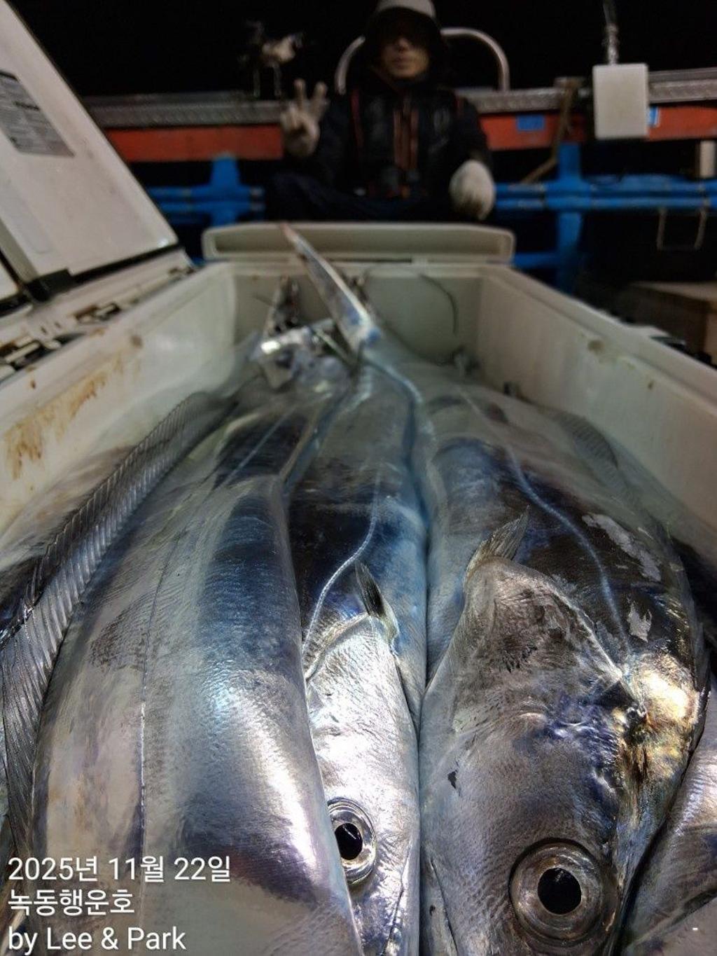 낚시뚜,갈치,녹동항,녹동대성호,낚시뚜28