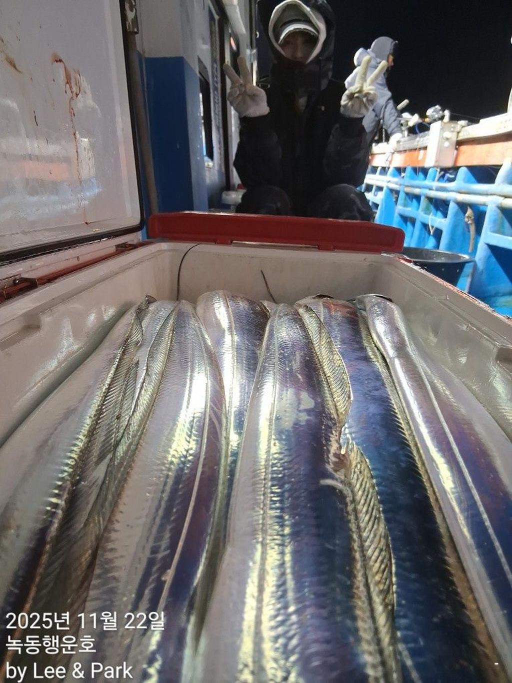 낚시뚜,갈치,녹동항,녹동대성호,낚시뚜26