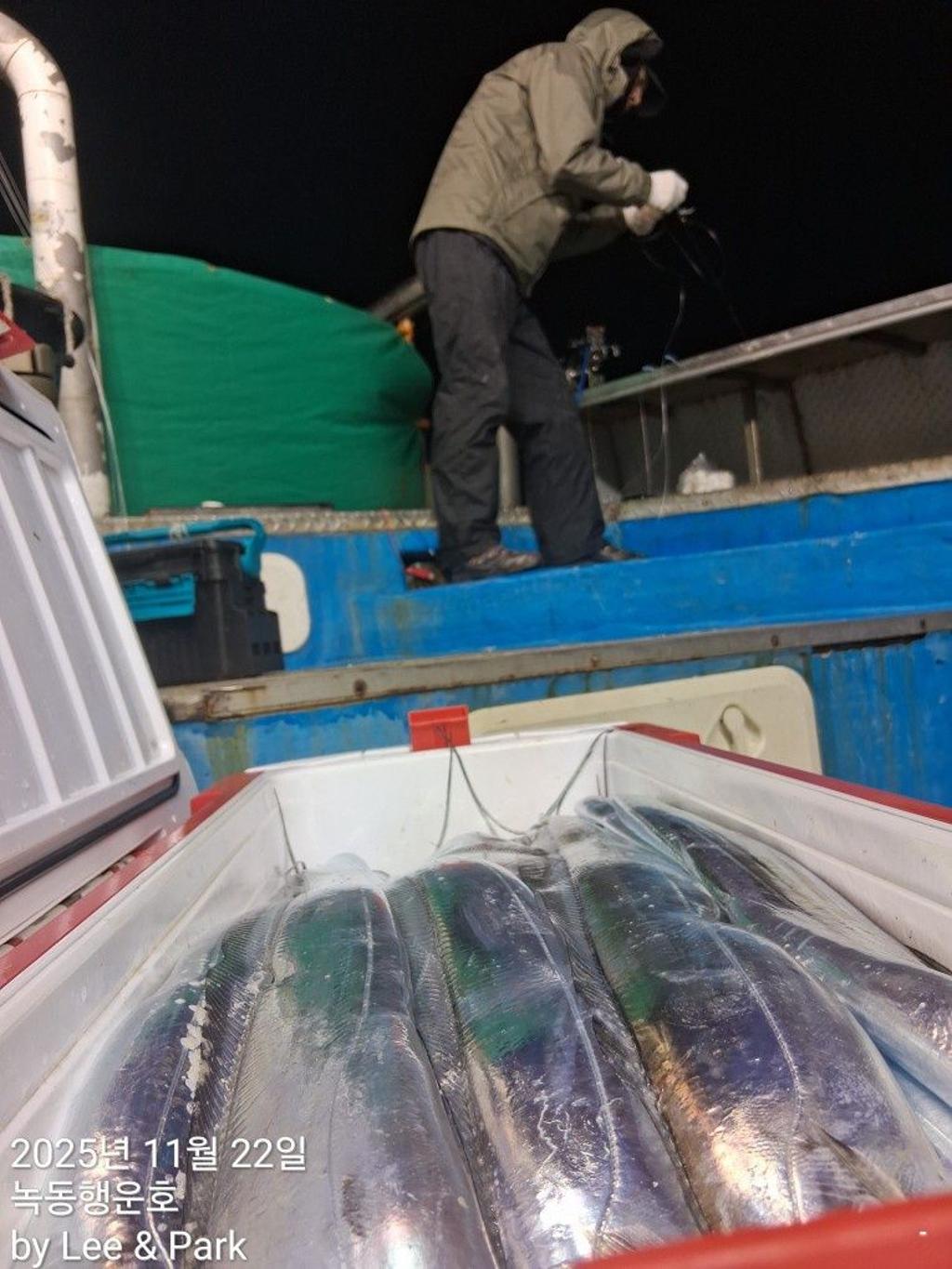 낚시뚜,갈치,녹동항,녹동대성호,낚시뚜25