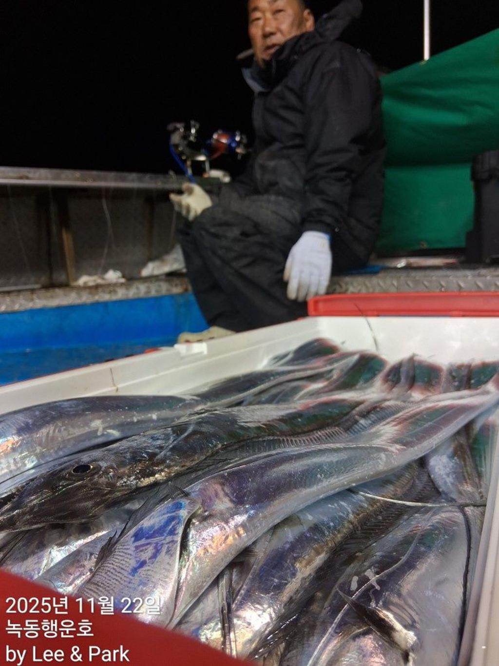 낚시뚜,갈치,녹동항,녹동대성호,낚시뚜23