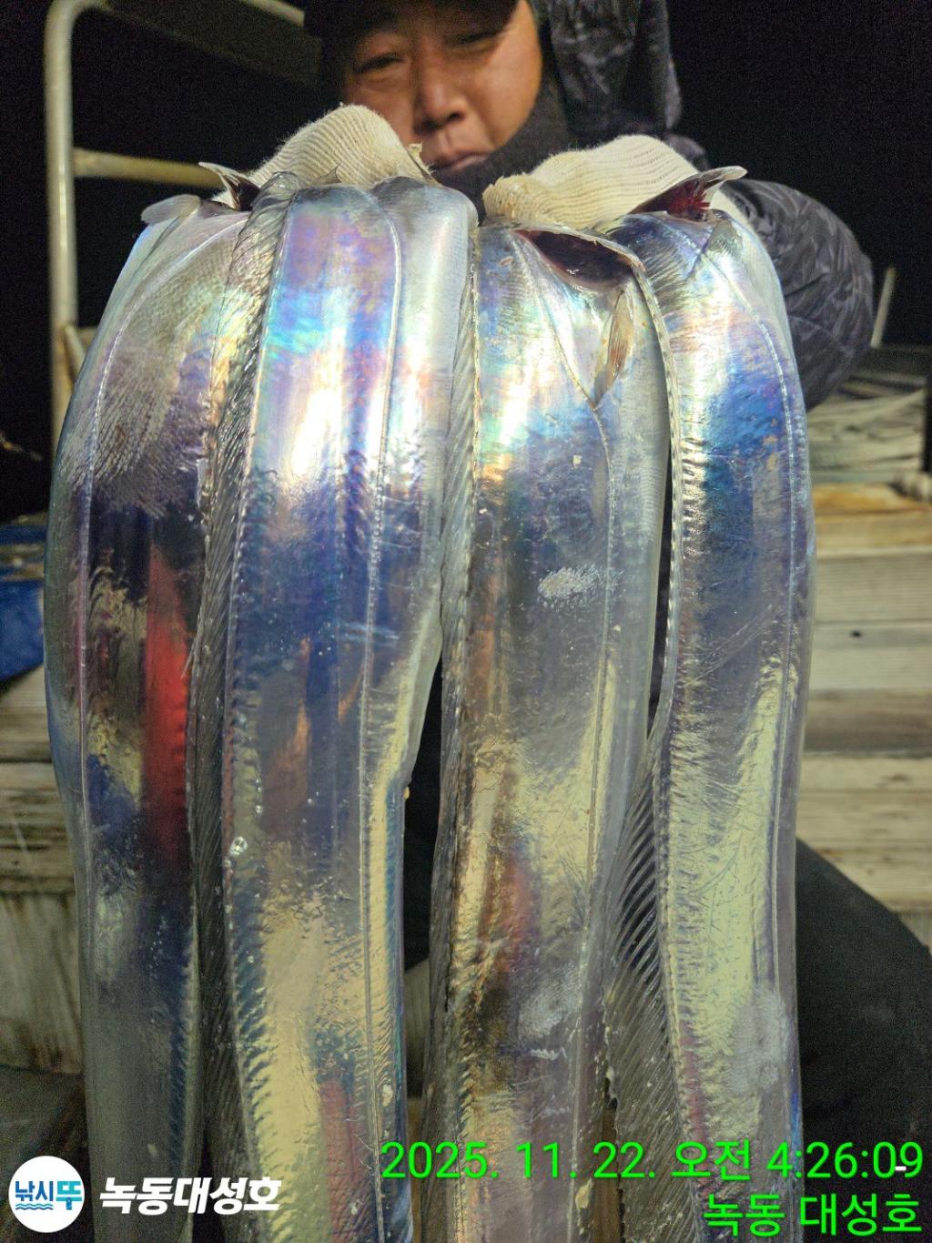 낚시뚜,갈치,녹동항,녹동대성호,낚시뚜22