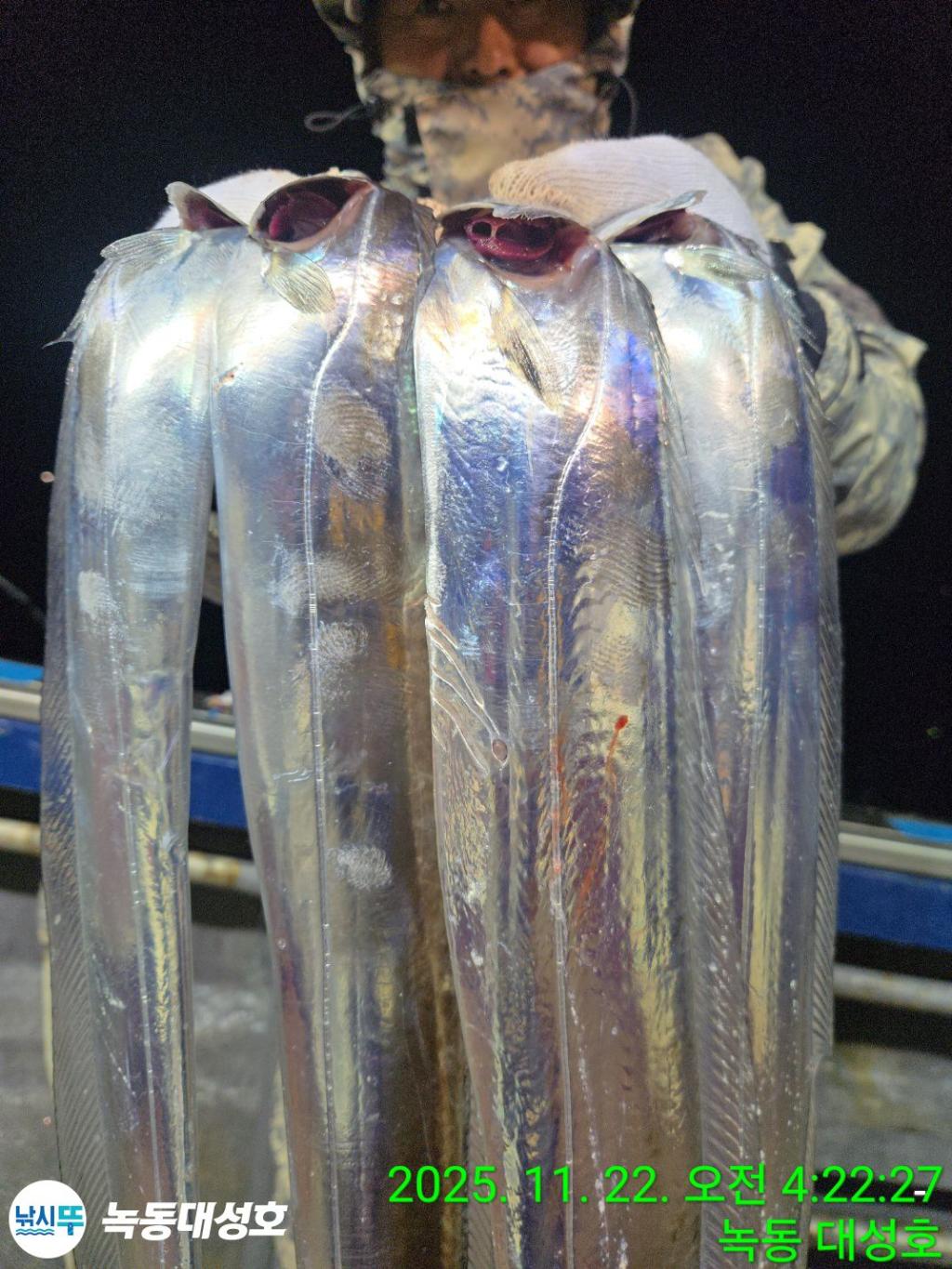 낚시뚜,갈치,녹동항,녹동대성호,낚시뚜21