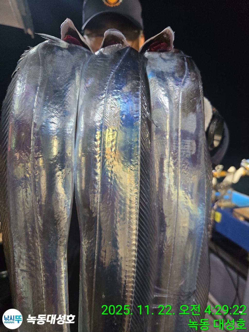 낚시뚜,갈치,녹동항,녹동대성호,낚시뚜20