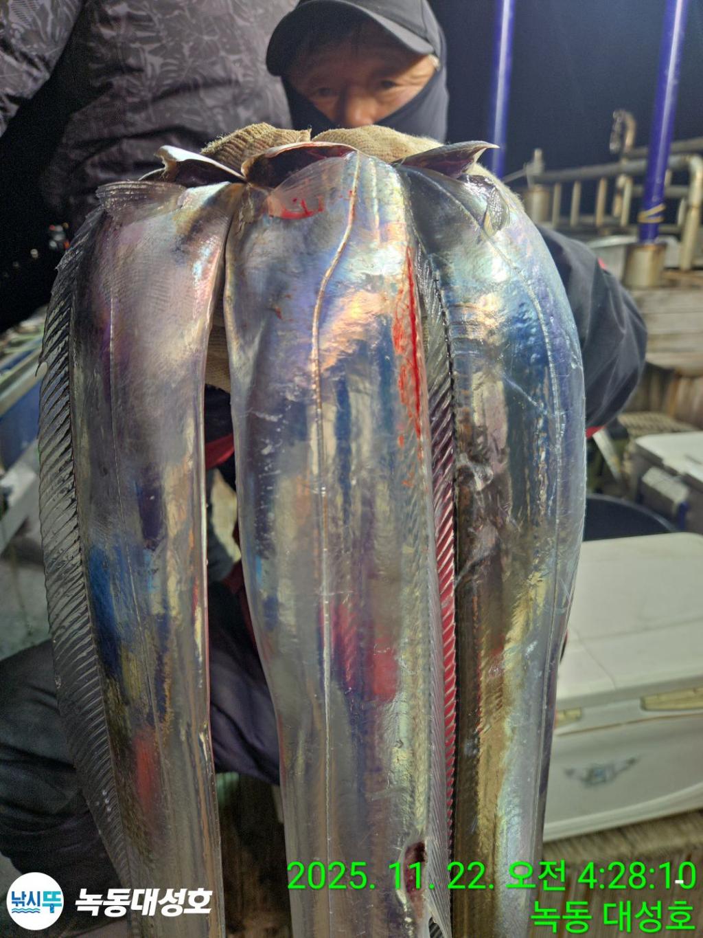 낚시뚜,갈치,녹동항,녹동대성호,낚시뚜19