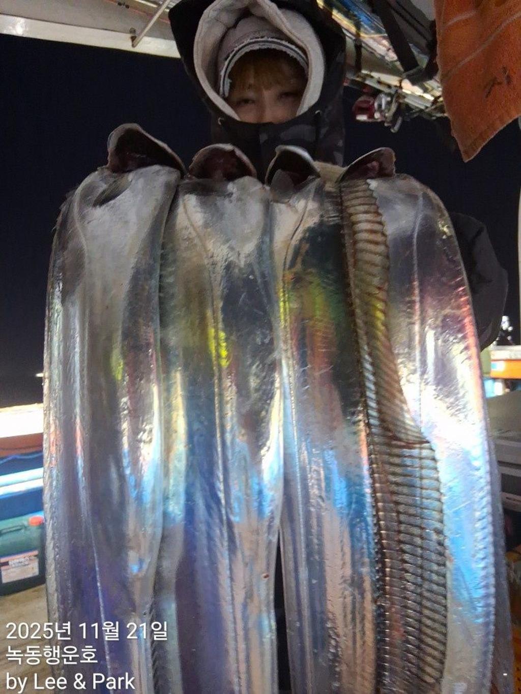 낚시뚜,갈치,녹동항,녹동대성호,낚시뚜18