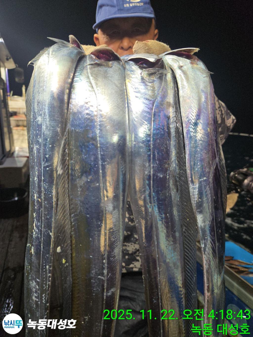 낚시뚜,갈치,녹동항,녹동대성호,낚시뚜17