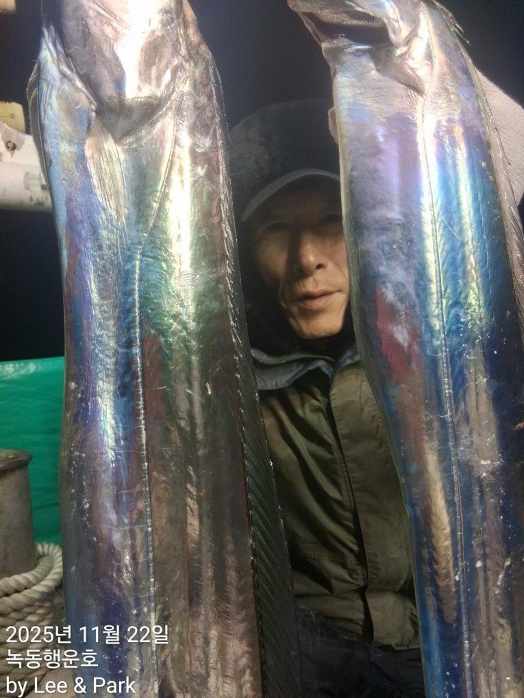 낚시뚜,갈치,녹동항,녹동대성호,낚시뚜13