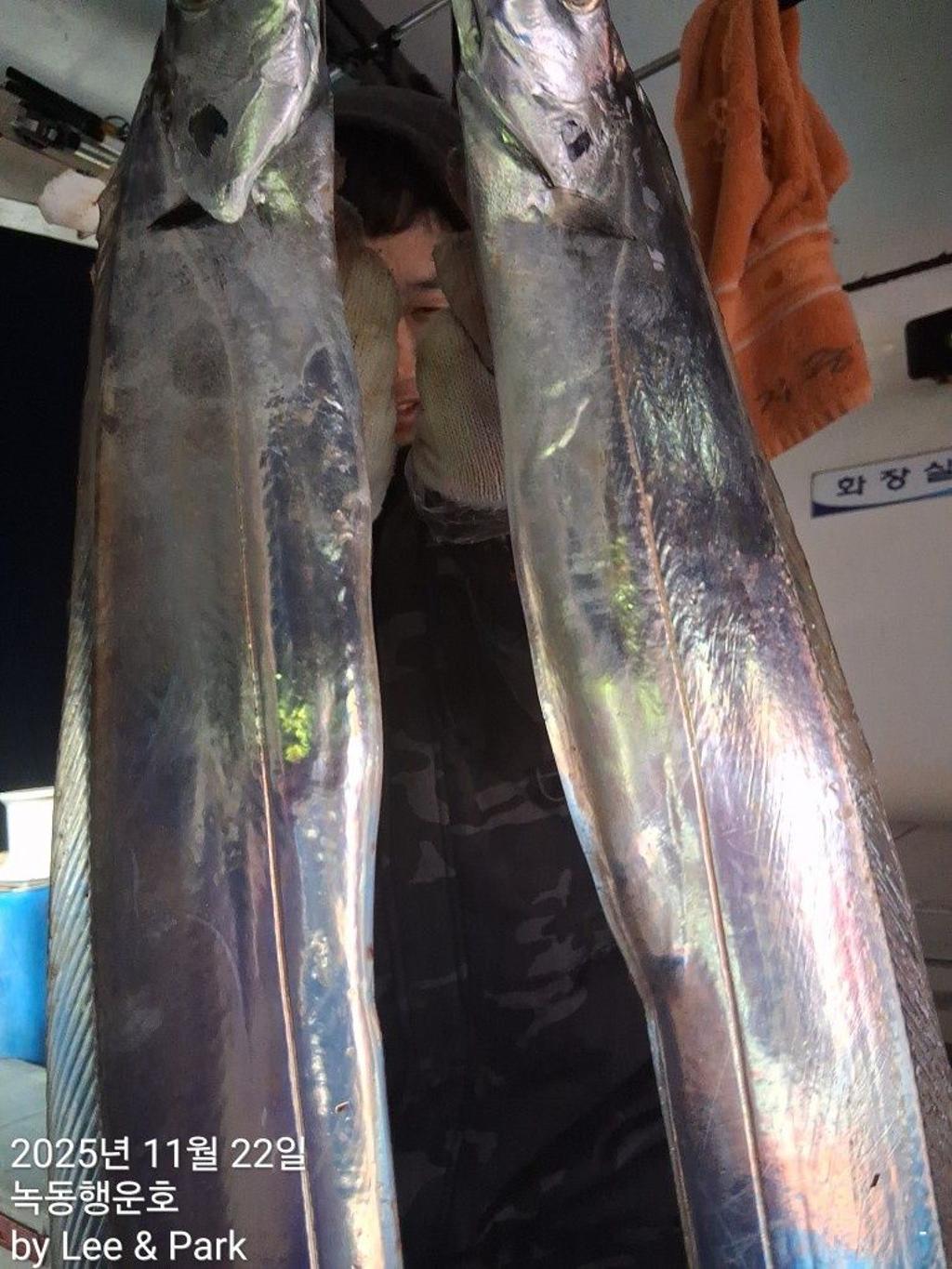 낚시뚜,갈치,녹동항,녹동대성호,낚시뚜12