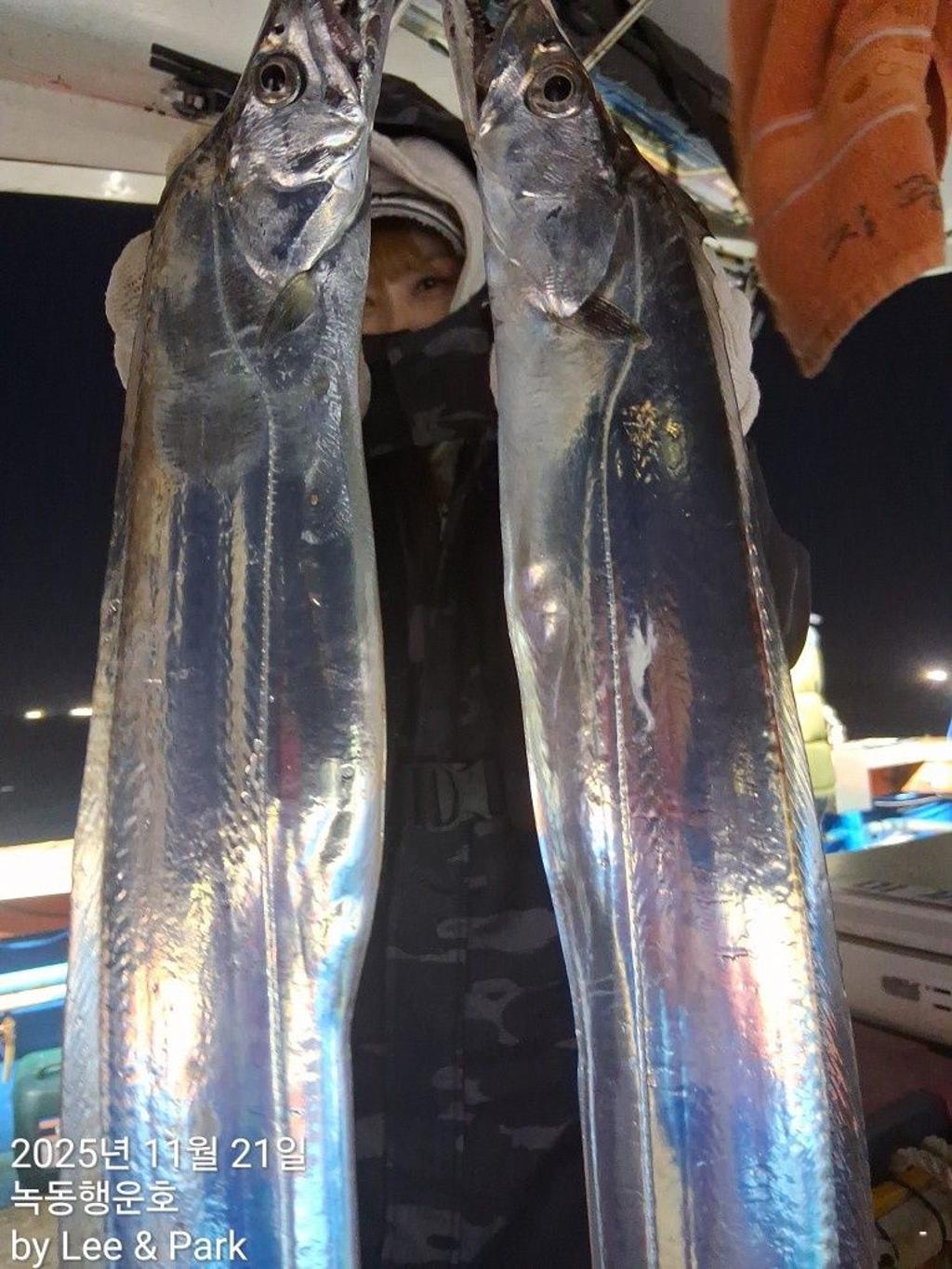 낚시뚜,갈치,녹동항,녹동대성호,낚시뚜11