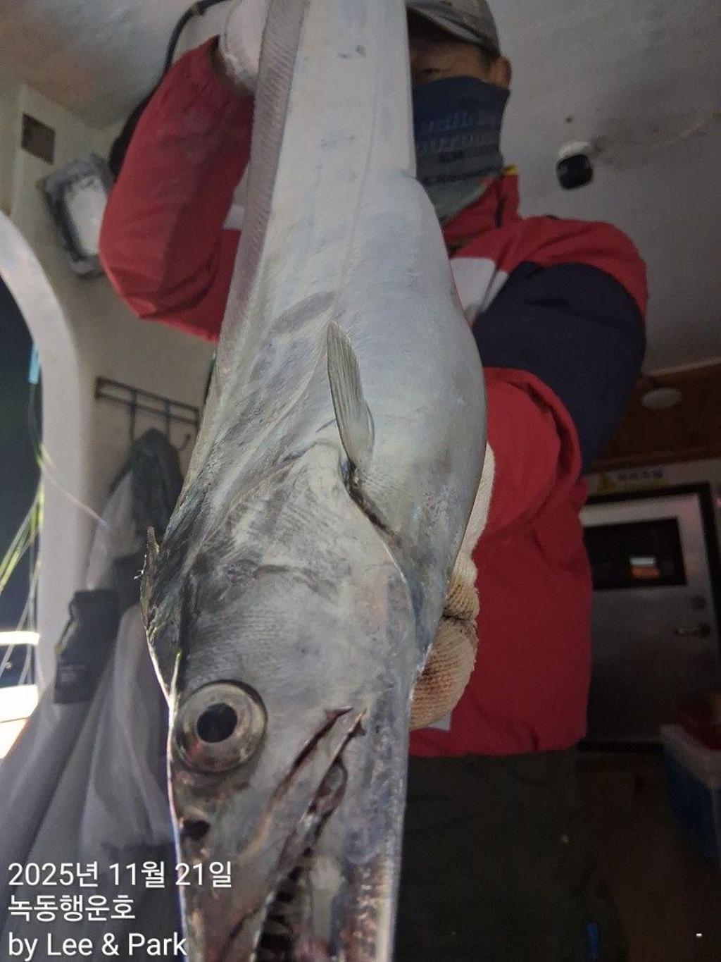 낚시뚜,갈치,녹동항,녹동대성호,낚시뚜4