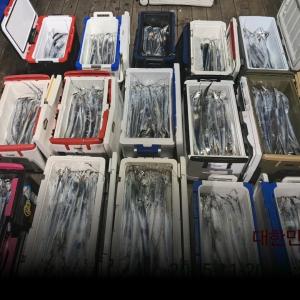 조황, 갈치 텐빈~~오늘 긴급1자리~~(일.월.화.수~~쭉~예약가능)