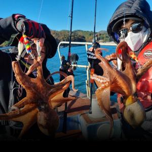 조황, 돌문어 실시간 대박 