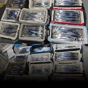 조황, 22일새벽,내만칼치 3지까지 청기백기 엄청나게 퍼담고 루어대박~일,월,화,수욜예약가능~